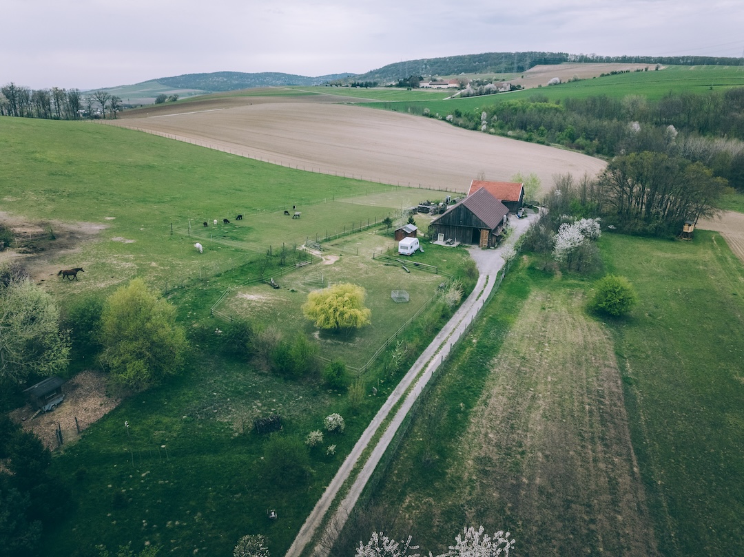 Alpakahof in Kreuzenstein